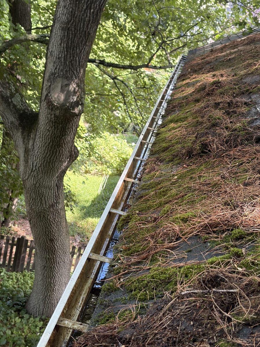 Same gutter cleared and draining after cleaning