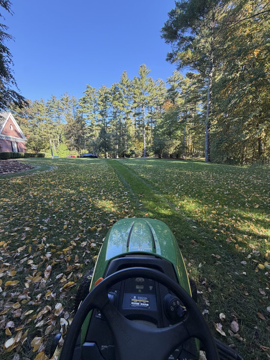 Front lawn along a driveway, overgrown and covered in fallen leaves before mowing