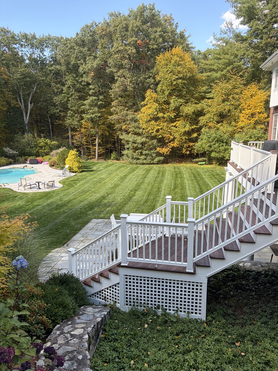 Same backyard lawn by the pool and deck freshly mowed with clean stripes