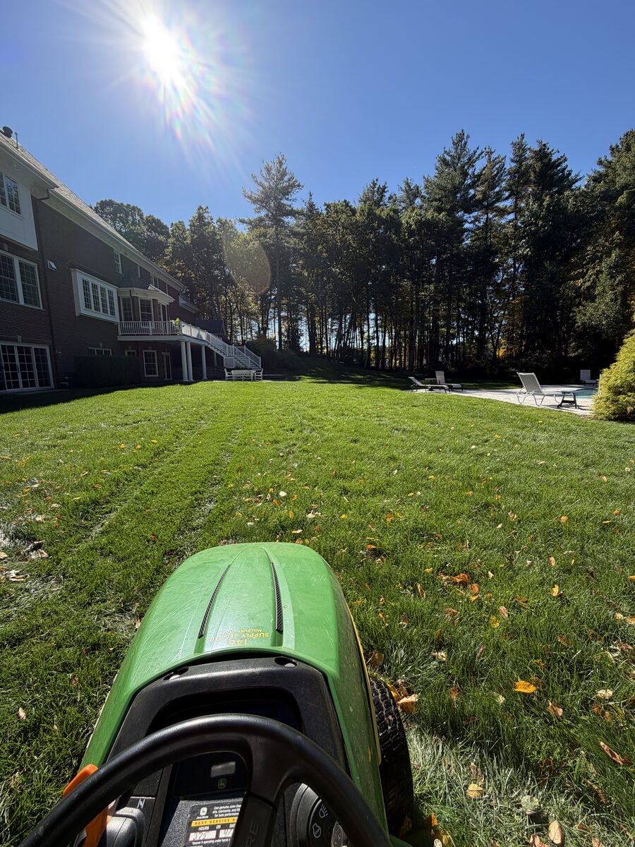 Backyard lawn by the house and pool before mowing