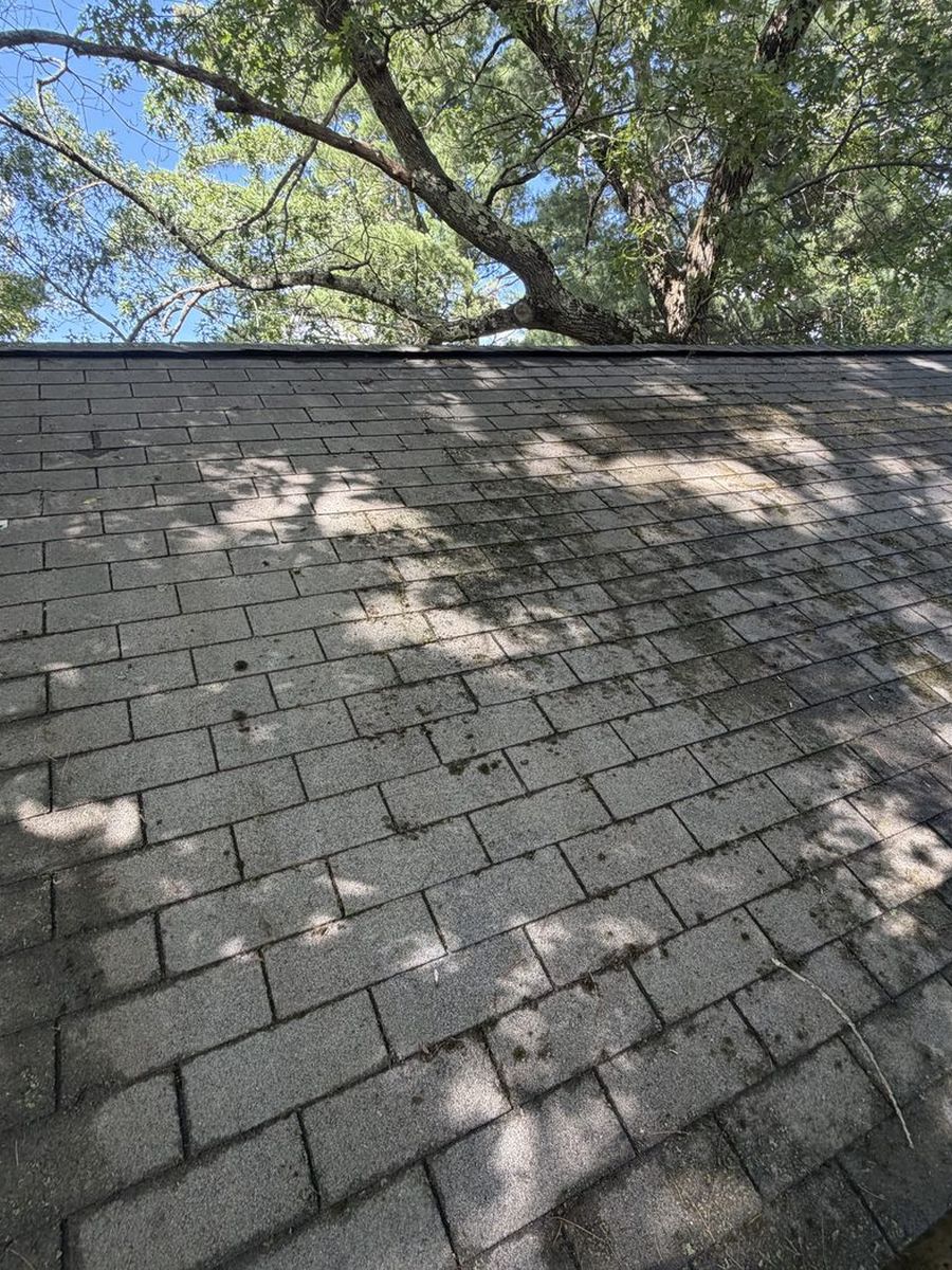 Same roof cleared of moss and pine needles after the gutter and roof cleaning