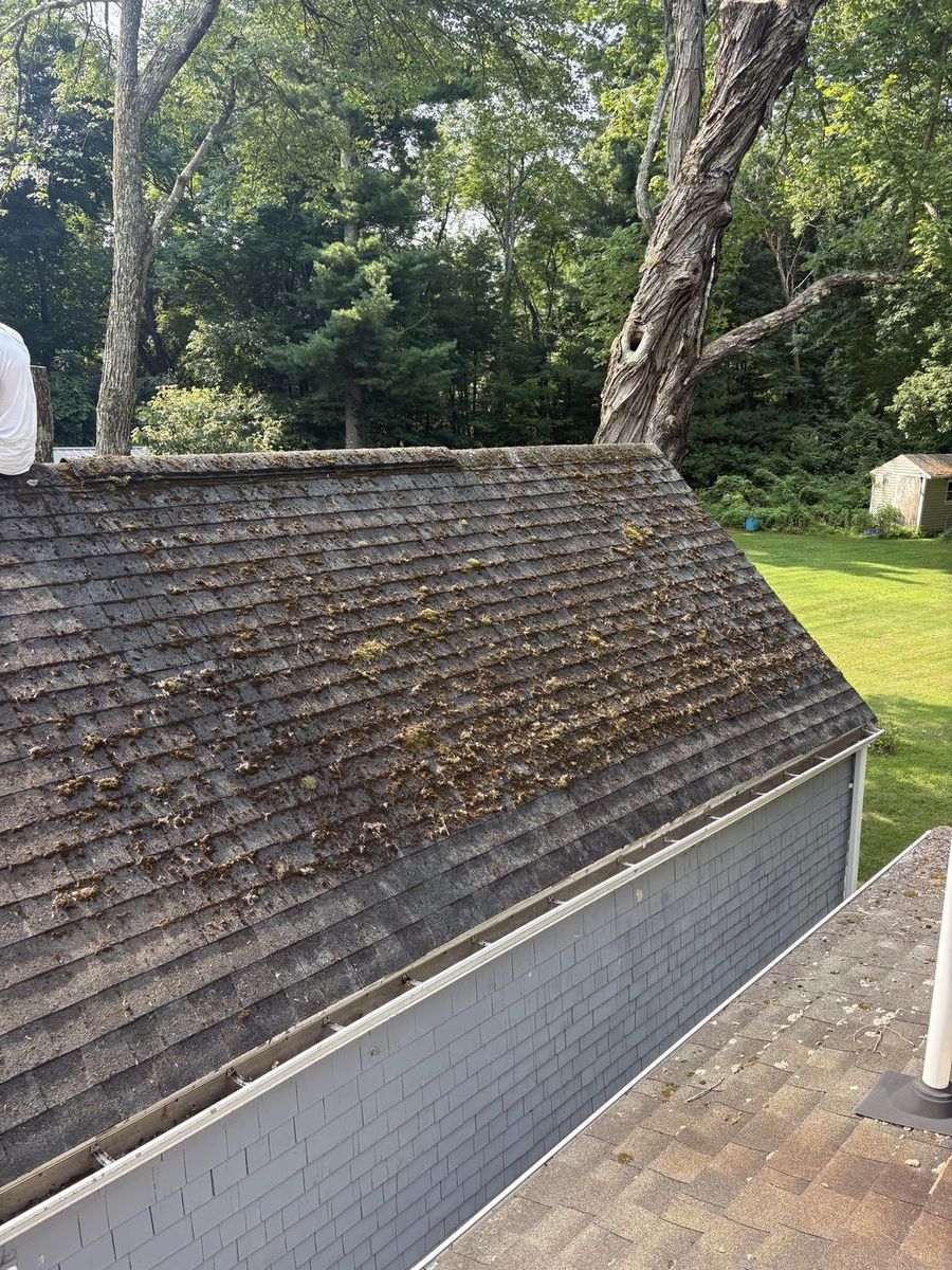 Garage roof covered in moss and algae growth before cleaning