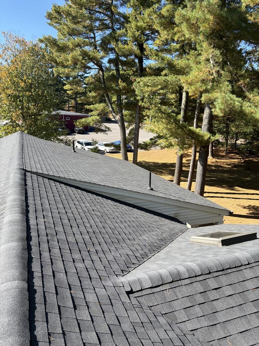 Same asphalt roof clear of pine needles after cleaning